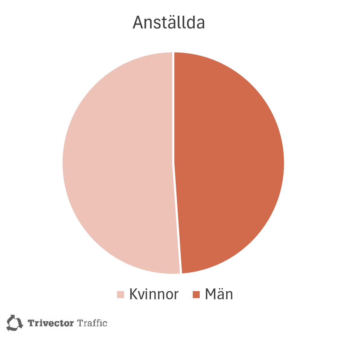 modell med cirkel som visar könsfördelning mellan män och kvinnor bland anställda på Treivektor, fördelning 50/50