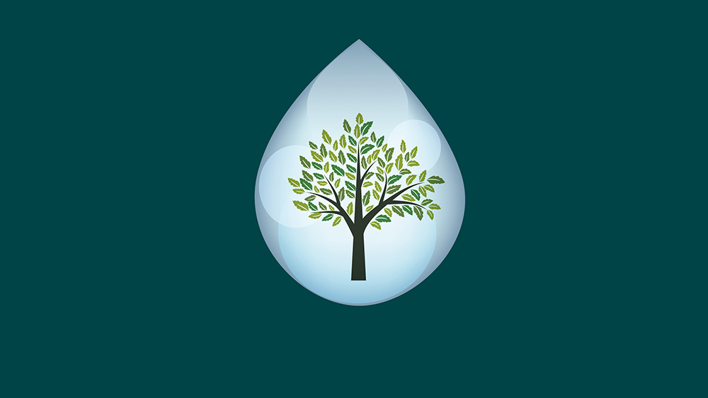 tr&auml;d i en vattendroppe